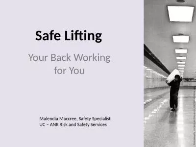 Safe Lifting Your Back Working for