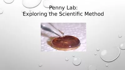 Penny Lab: Exploring the Scientific Method