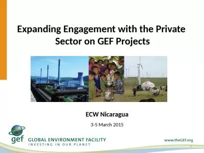 Expanding Engagement with the Private  Sector on GEF Projects