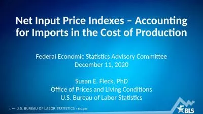 Net Input Price Indexes – Accounting for Imports in the Cost of Production