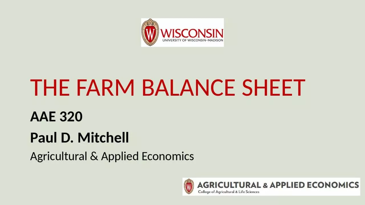 The Farm Balance Sheet AAE 320