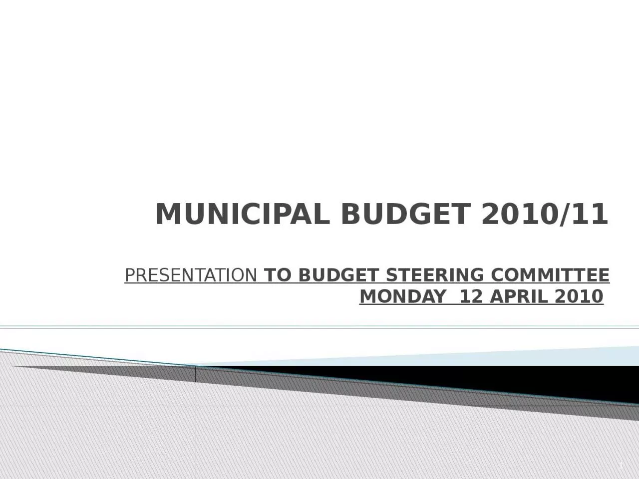 PPT-MUNICIPAL BUDGET 2010/11