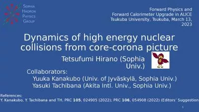 Dynamics of high energy nuclear collisions from core-corona picture