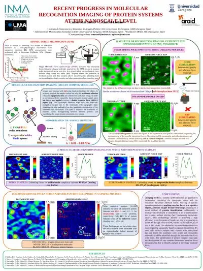 Recent progress in molecular recognition imaging of protein systems at the nanoscale level