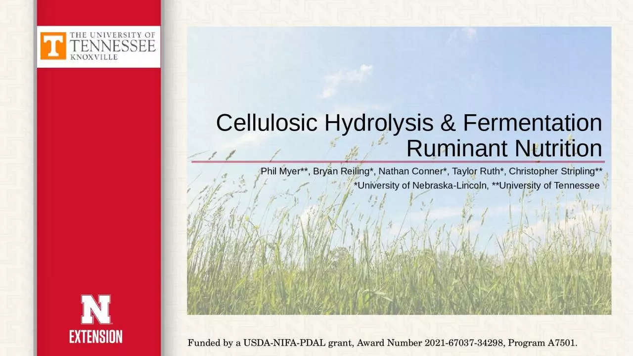 Cellulosic Hydrolysis & Fermentation