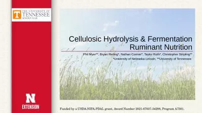 Cellulosic Hydrolysis & Fermentation