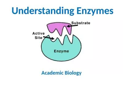 Understanding Enzymes Academic