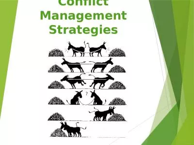 Conflict  Management Strategies