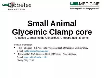 Small Animal Glycemic Clamp core