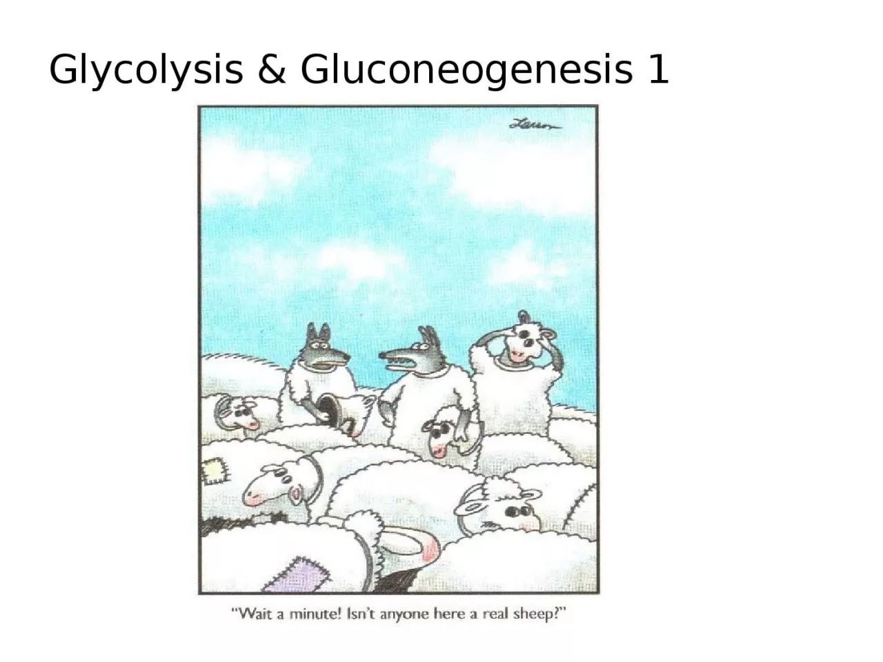 PPT-Glycolysis & Gluconeogenesis