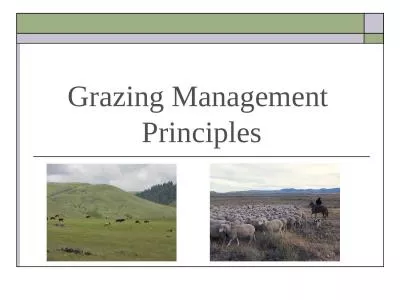 Grazing Management  Principles