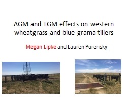 AGM and TGM effects on western wheatgrass and blue