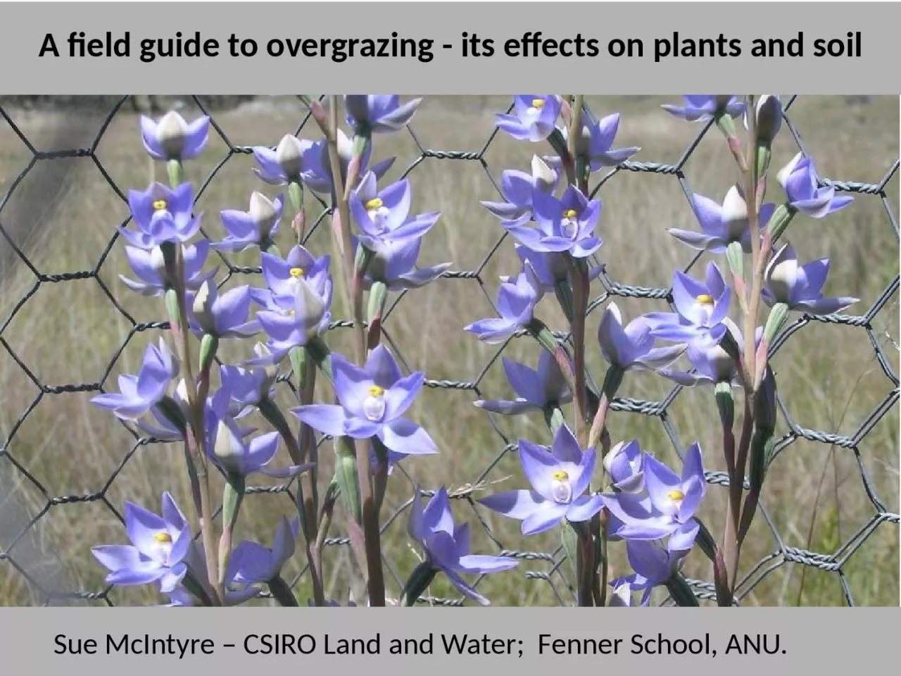 PPT-Sue McIntyre – CSIRO Land and Water;