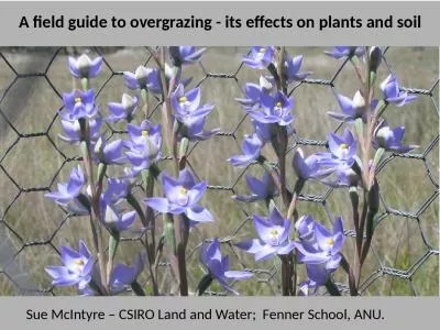 Sue McIntyre – CSIRO Land and Water;