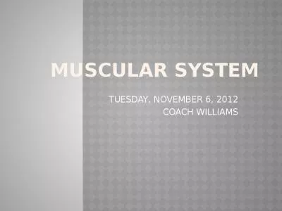 MUSCULAR SYSTEM TUESDAY, NOVEMBER 6, 2012