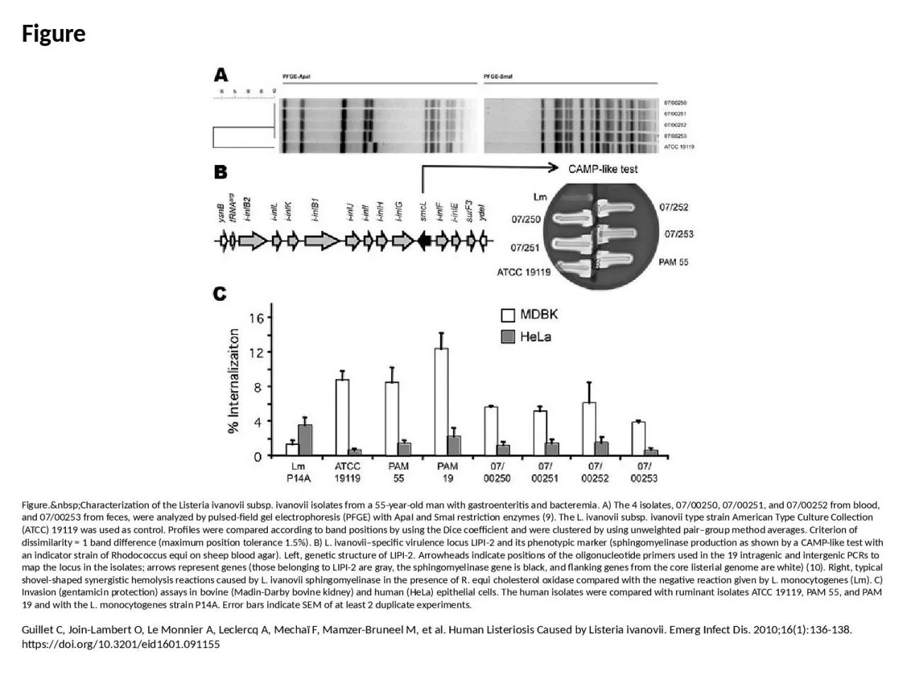 PPT-Figure Figure.&nbsp;Characterization of the Listeria ivanovii subsp. ivanovii isolates