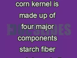 It Begins with a Kernel A corn kernel is made up of four major components starch fiber