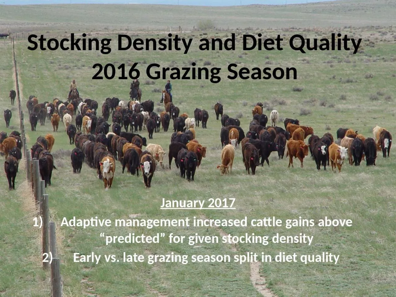 Stocking  Density  and Diet Quality