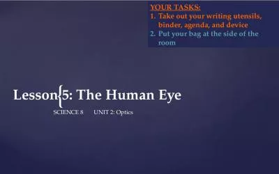 Lesson 5 : The Human Eye