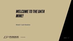 Welcome to The Data Mine!