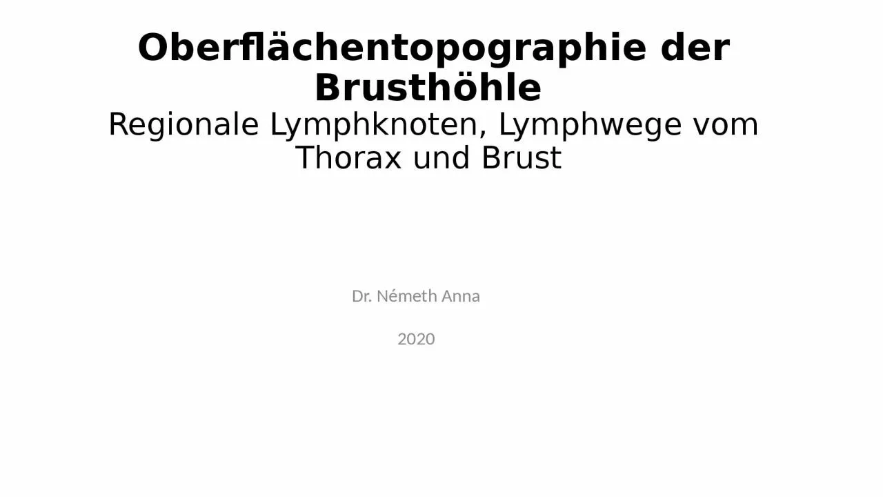 PPT-Oberflächentopographie der