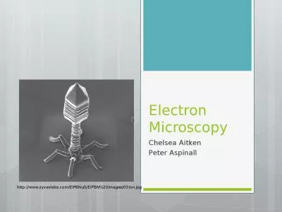 Electron Microscopy Chelsea Aitken