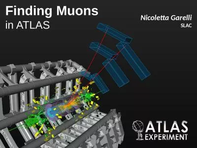 Finding Muons in ATLAS Nicoletta Garelli