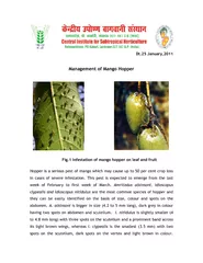PDF-	\n\r				\n thumbnail