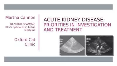 Acute Kidney Disease:  Priorities in investigation and treatment