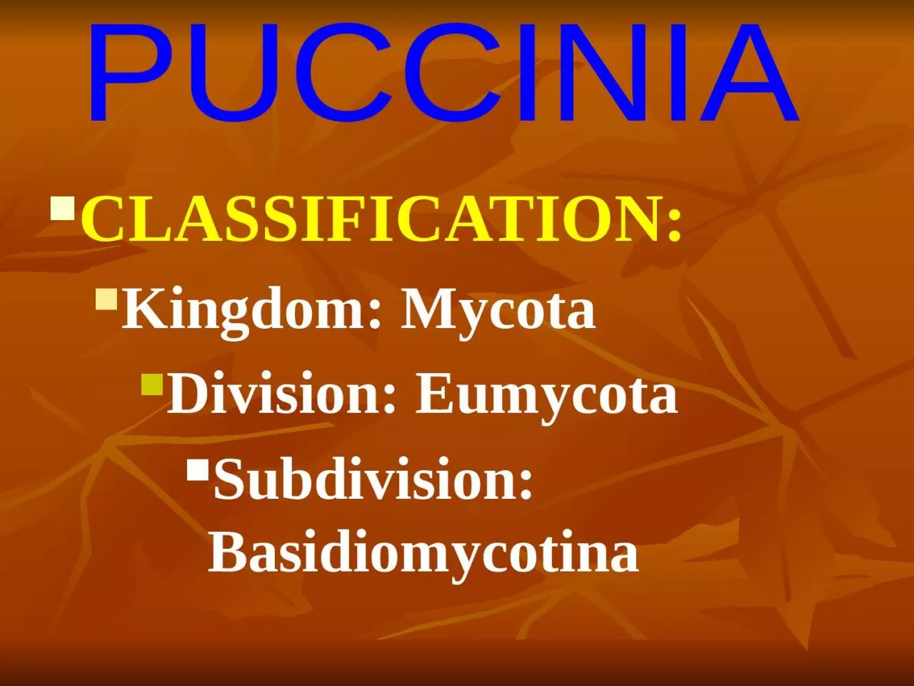 PPT-CLASSIFICATION: Kingdom: Mycota