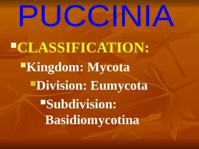 CLASSIFICATION: Kingdom: Mycota