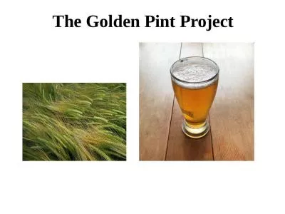 The Golden Pint Project