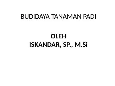 BUDIDAYA TANAMAN PADI OLEH