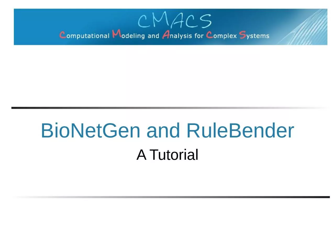 PPT-BioNetGen and RuleBender