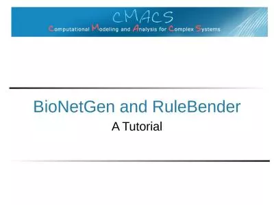 BioNetGen  and  RuleBender