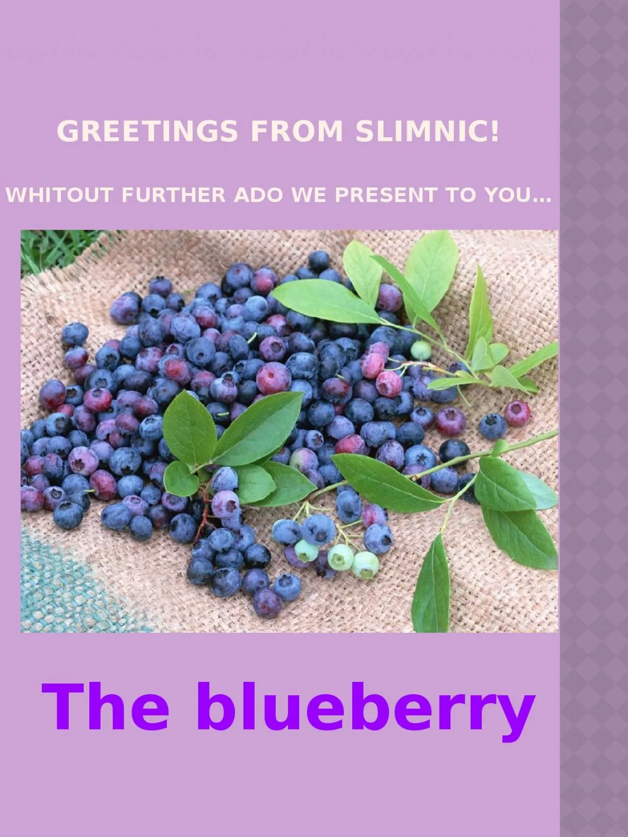 greetings from  slimnic !