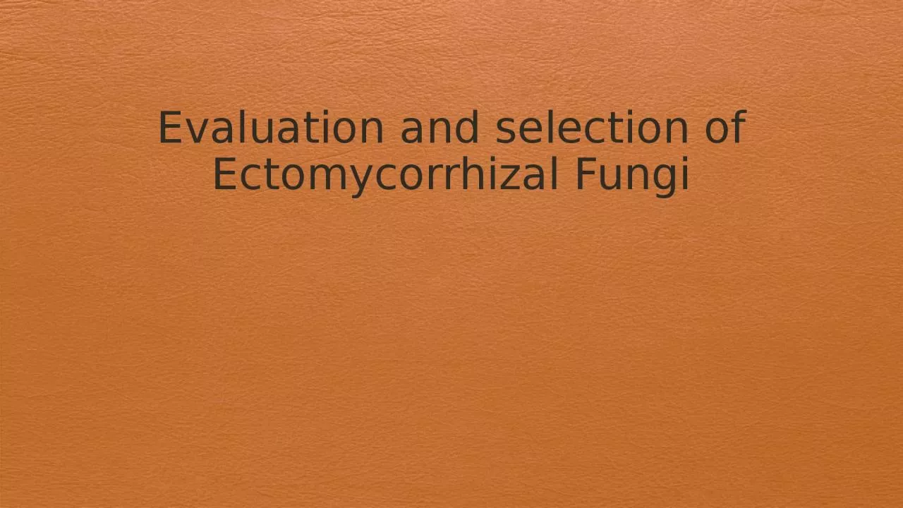 PPT-Evaluation and selection of Ectomycorrhizal Fungi