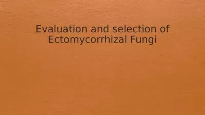 Evaluation and selection of Ectomycorrhizal Fungi