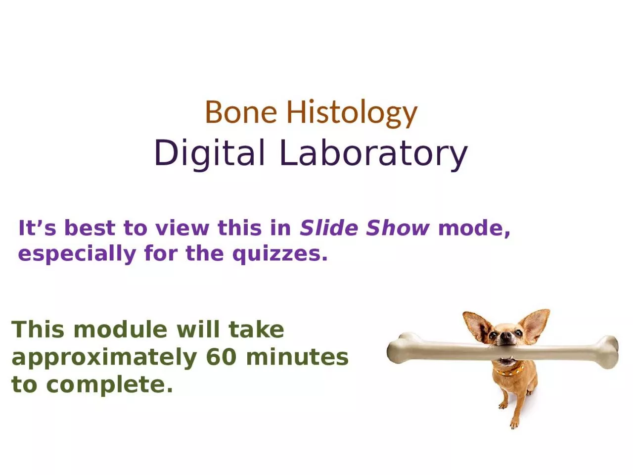 PPT-Bone Histology Digital Laboratory