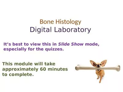 Bone Histology Digital Laboratory