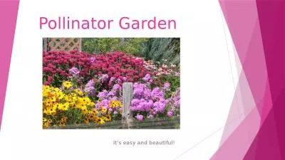 Pollinator Garden It’s easy and beautiful!