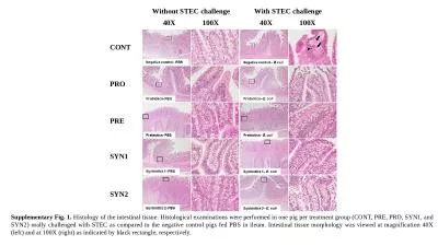 Supplementary Fig. 1.  Histology of the intestinal tissue. Histological examinations were