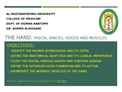 The hand:  fascia, spaces, hoods and muscles