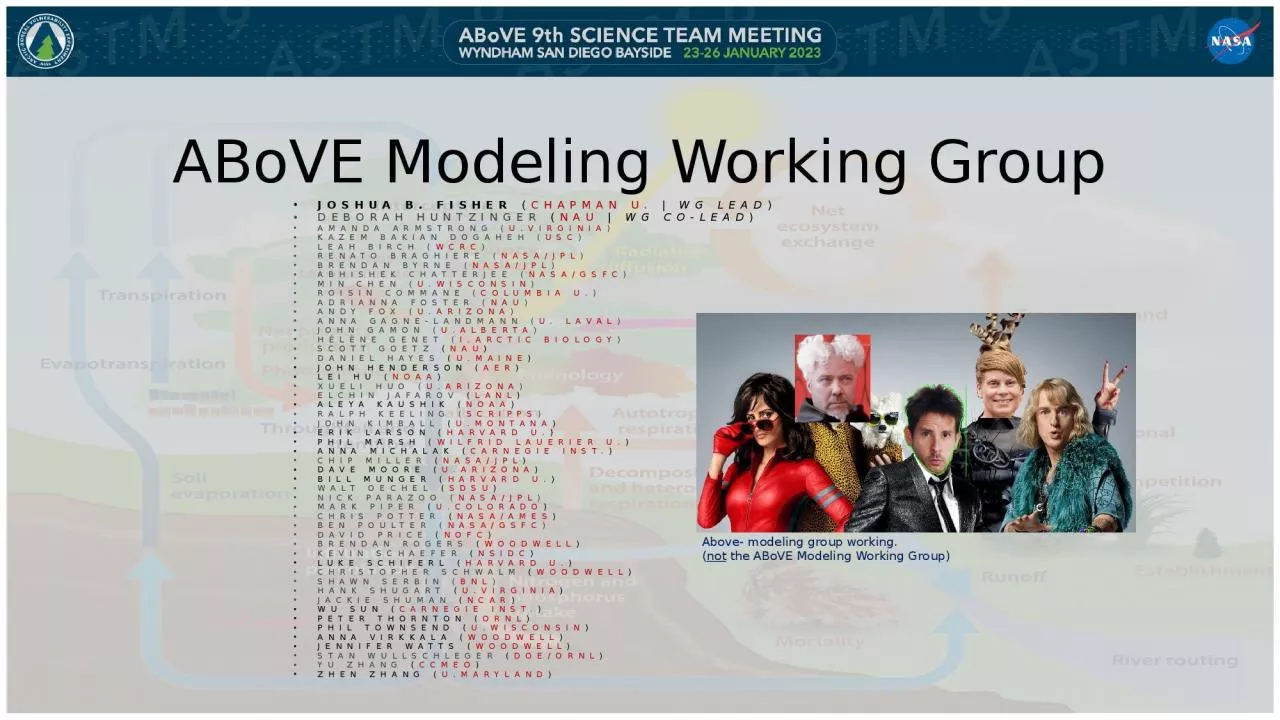 PPT-ABoVE Modeling Working Group