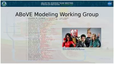 ABoVE  Modeling Working Group