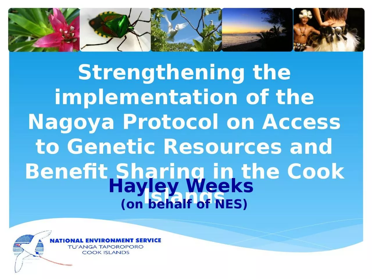 PPT-Strengthening the implementation of the Nagoya Protocol on Access to Genetic Resources