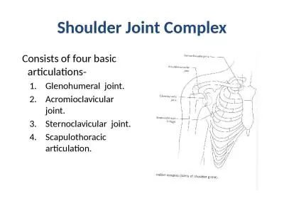 Shoulder Joint Complex   Consists of four basic articulations-