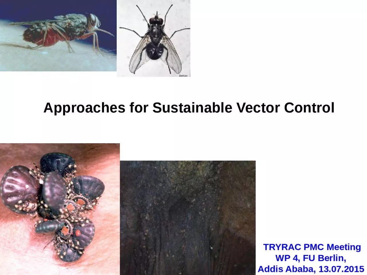 PPT-Approaches for Sustainable Vector Control