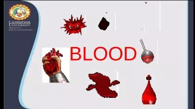 BLOOD BLOOD - INTRODUCTION