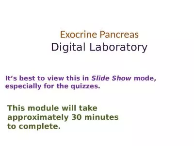 Exocrine Pancreas Digital Laboratory